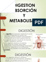 Tema2.digestion, Absorcion, Metabolismo