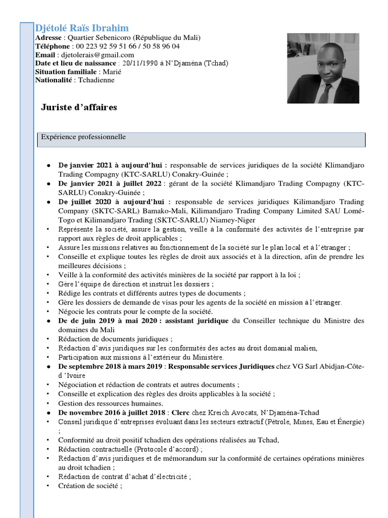 CV de Djétolé Raïs Ibrahim | PDF | Tchad | Économie