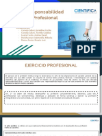 Responsabilidad Profesional.