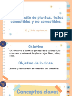 Clasificación de Plantas Tallos Comestibles y No Comestibles 22 y 23 de Sept.