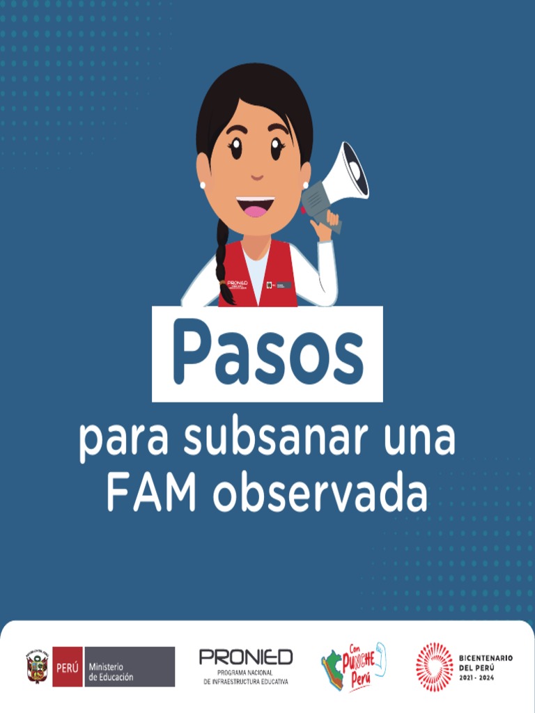 Guía - Pasos Para Subsanar Una FAM Observada | PDF