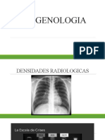 Densidades Radiologicas