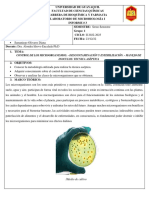 Informe 3 Control de Microorganismos