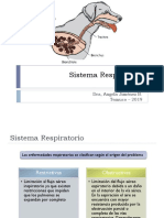 Sistema Respiratorio II Clases