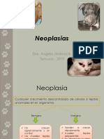 Neoplasias Clases