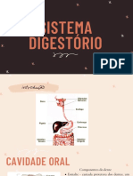 Sistema Digestório - Monitoria