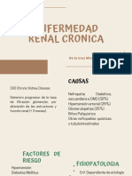 Enfermedad Renal Cronica-1 PDF