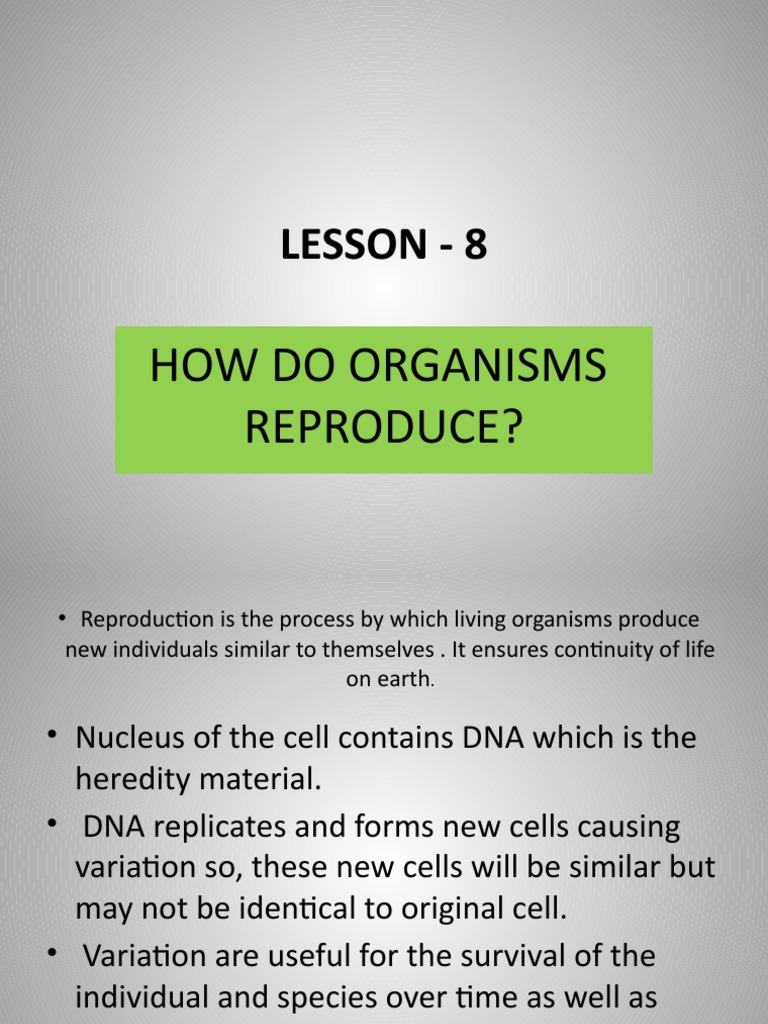 Lesson 8 How Do Organisms Reproduce PDF Plant Reproduction Flowers
