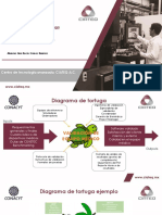 Actividad - Diagrama de Tortuga