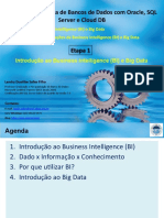 BI e BigData 1 - Introducao BI e Big Data