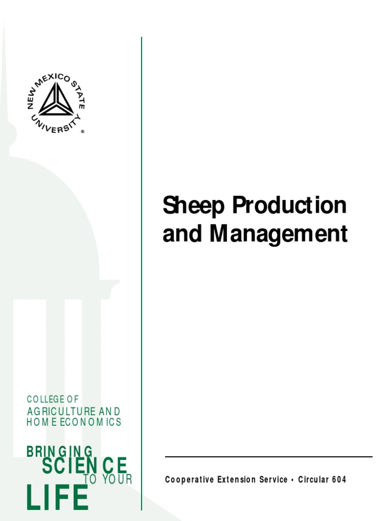 Sheep Management PDF Sheep Wool