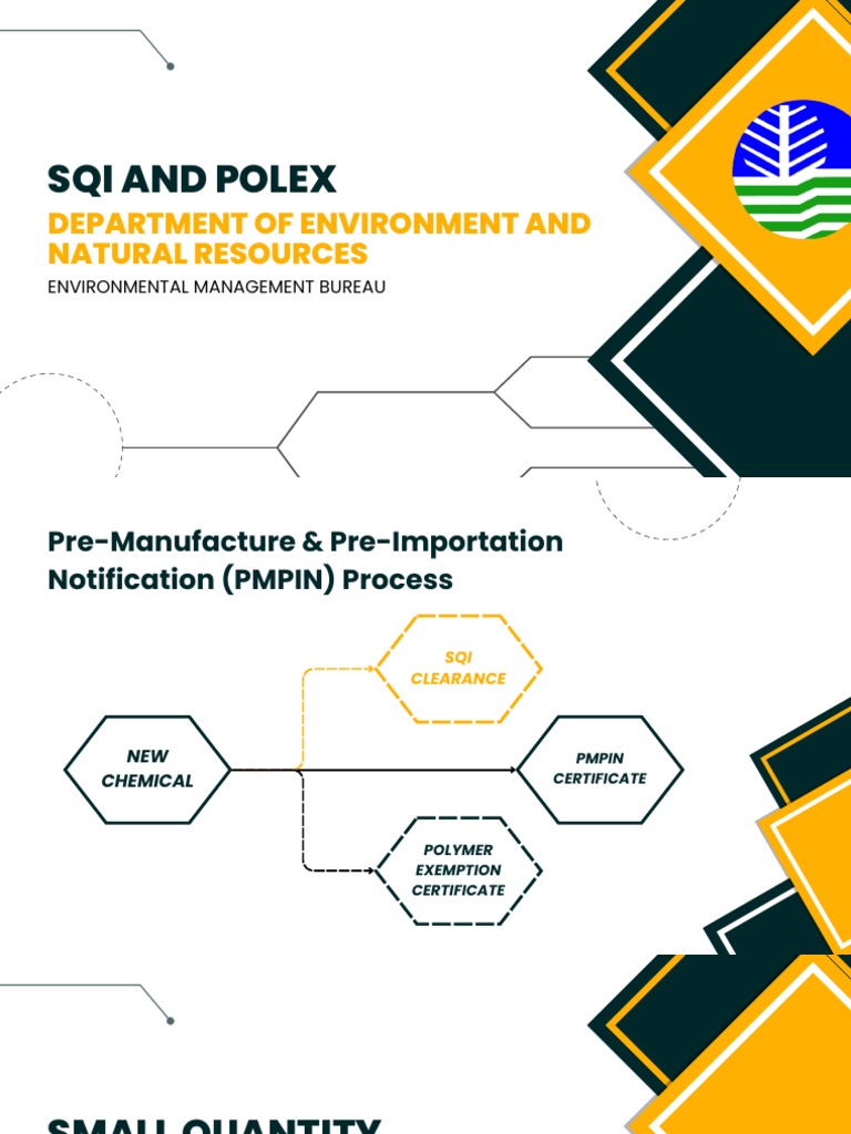 SQI and Polymer Exemption 2023 PDF Polymers Chemical Substances