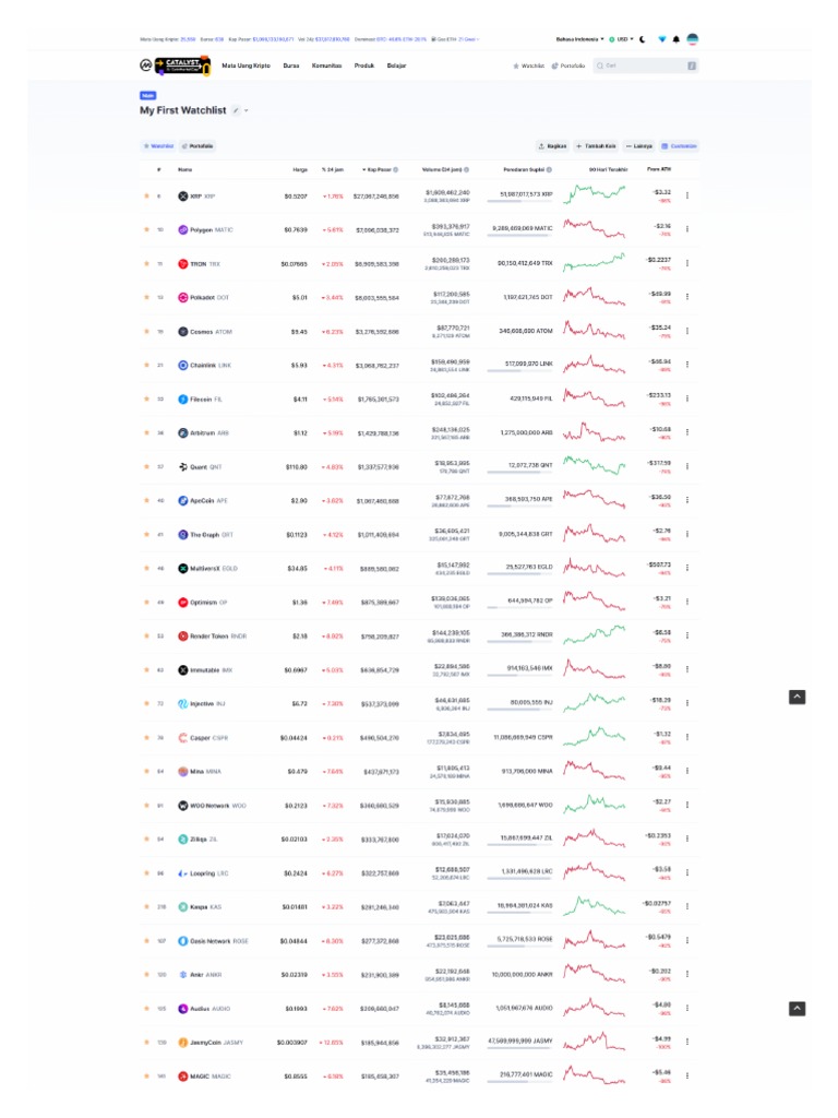 Watchlist Bullrun 2025 PDF