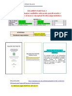 Formato Examen Parcial