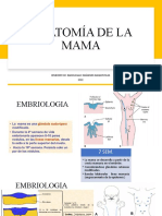 Anatomia Mama Junio 2021