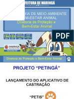 Palestra Lançamento Petis