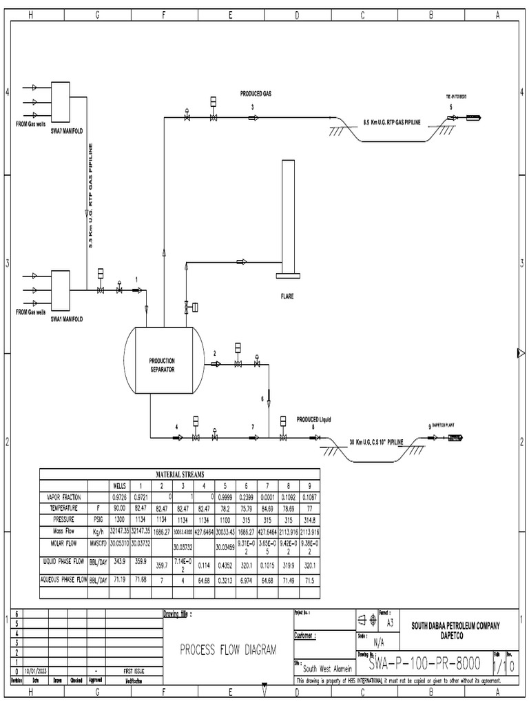 Process Flow Diagram | PDF