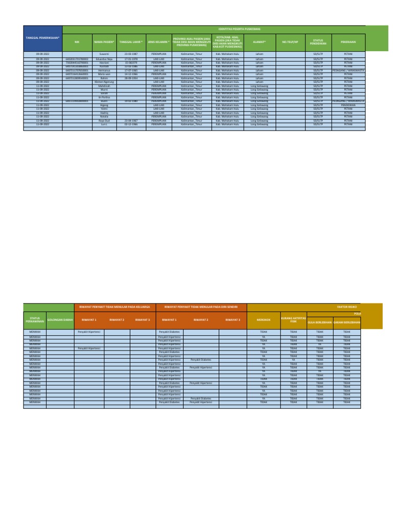 Form Offline Puskesmas Bulan September 2022 Pdf