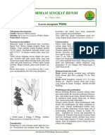 Informasi Singkat Benih Acacia Mangium