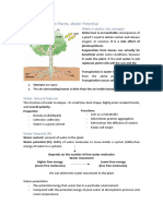 Water Transport in Plants