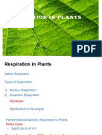 Ch-Respiration in Plants