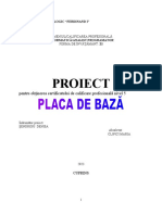 Proiect Clipici Maria Placa de Baza