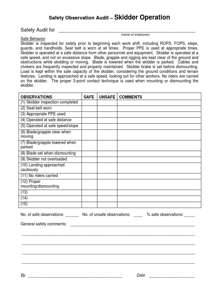 Safety Observation Audit PDF