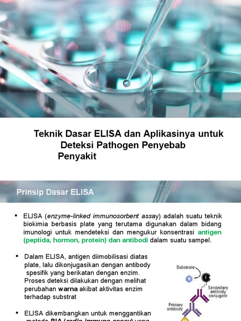 Inlab 5 | PDF | Sains & Matematika