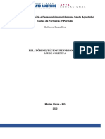Relatório de Estágio Saúde Pública - Guilherme Souza Silva PDF