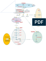 Configuracion de Red Comunicaciones.