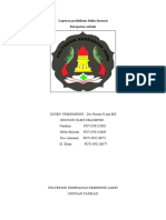 Laporan Praktikum Fisika Farmasi Kerapatan Serbuk