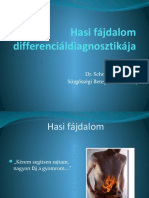 Hasi Fajdalom Differencialdiagnosztikaja