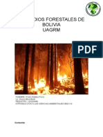 Incendios Forestales y La Protección de Los Bosques (Recuperado)