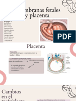 Membranas Fetales y Placenta