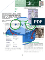 Haemophilus Influenzae: Historia