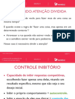 Slides Secao9