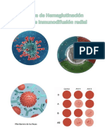 Técnica de Hemaglutinación Directa e Inmunodifusión Radial