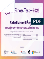 Certificate Balint Marcell Sogor