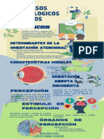 Procesos Psicologicos Basicos