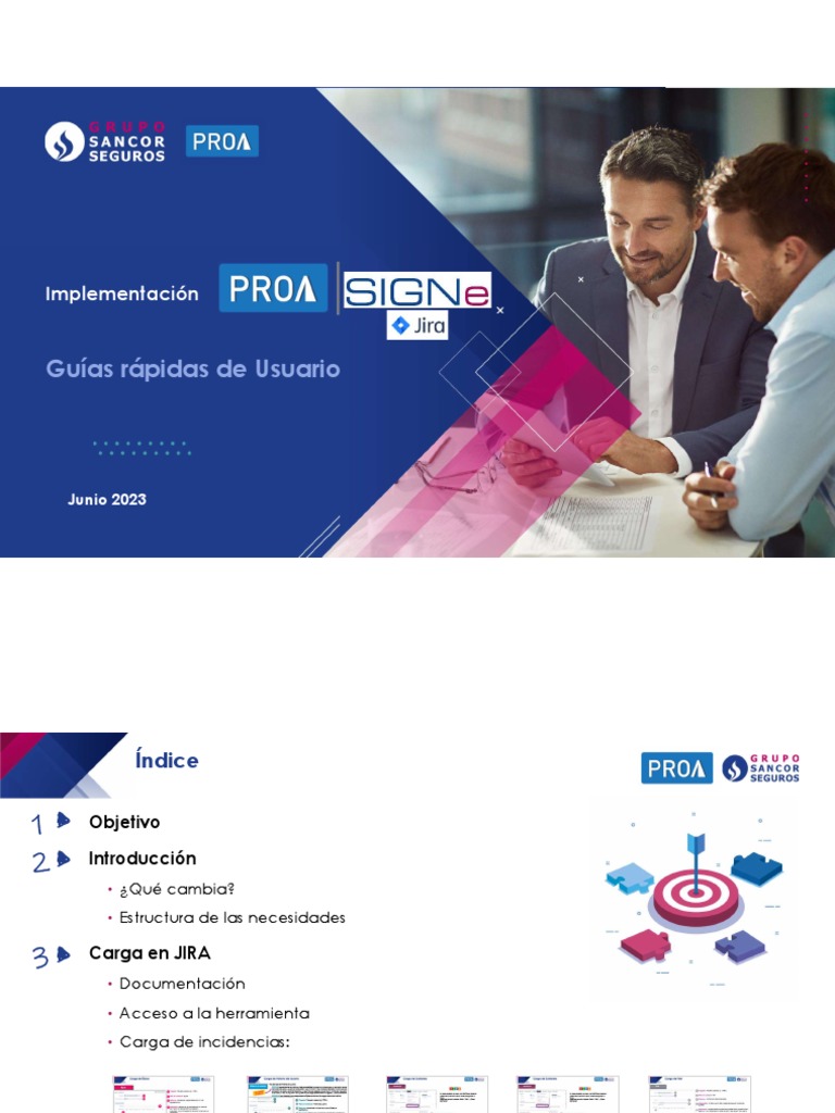 Guía Rápida para Carga en PROA | PDF | Pruebas de software | Informática