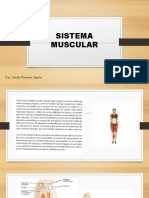 Clase#16 y 17 Sistema Muscular