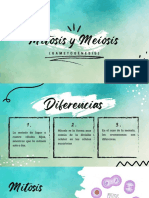 Mitosis y Meiosis