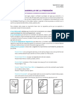 Información Desarrollo de La Prensión