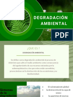 Degradacion Ambiental