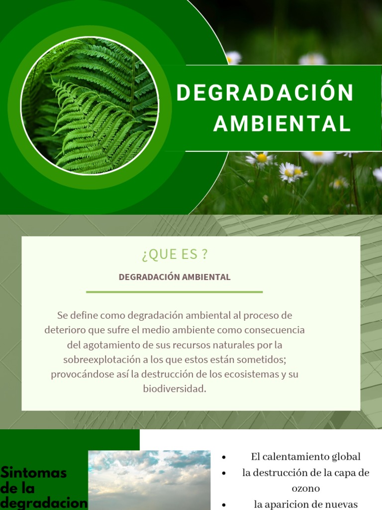 DEGRADACION AMBIENTAL PDF Degradación ambiental Entorno natural