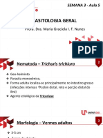 5 - Nematoda - Trichuris Trichiura 3-5