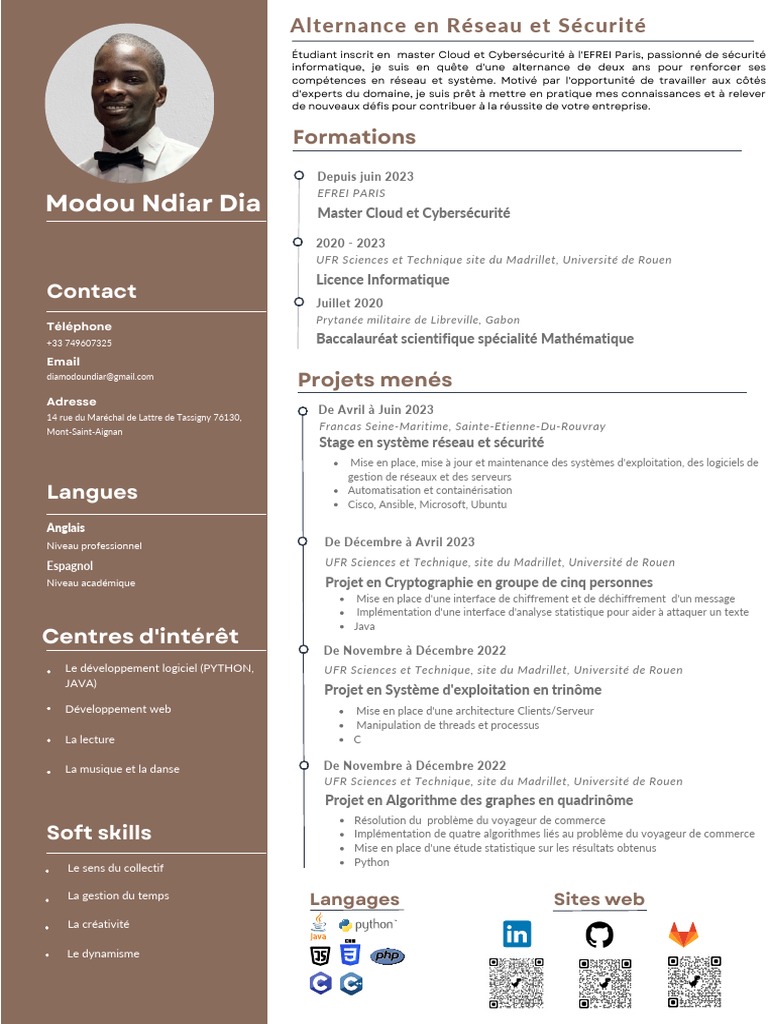 CV Alternance RéseauSécu | PDF