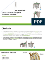 Clavícula