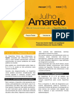 Julho Amarelo 013