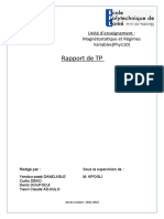 RAPPORT DE TP DE MAGNETOSTATIQUE (Finalité)